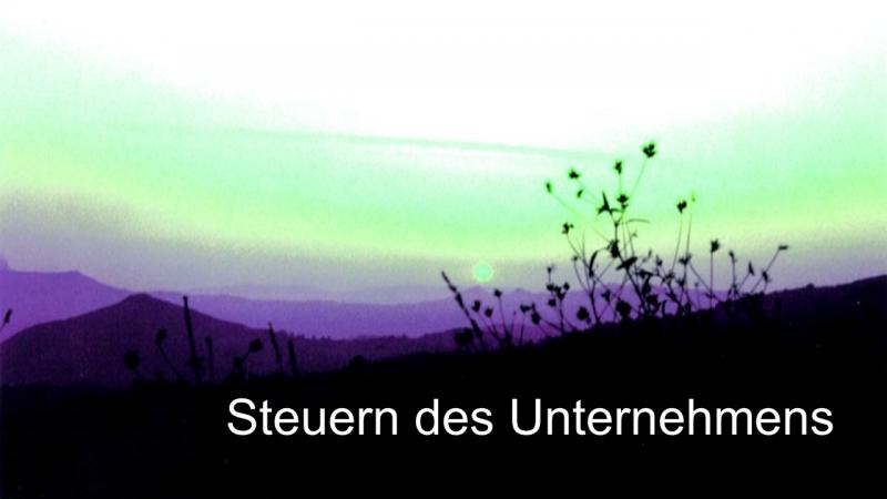 Steuern des Unternehmens