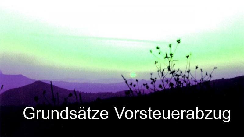 Grundsätze Vorsteuerabzug