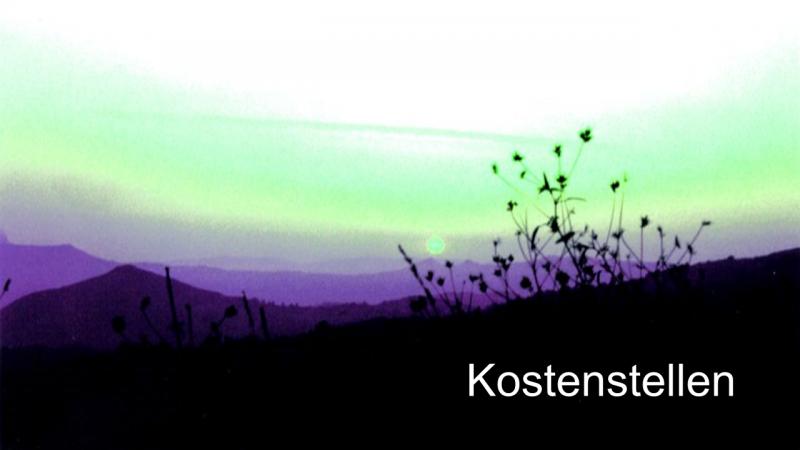 Kostenstellen67