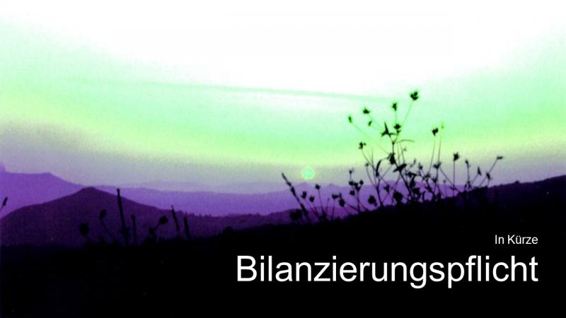 Bilanzierungspflicht in Kürze