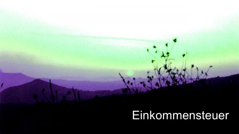 Einkommensteuer erklärt Steuerberater