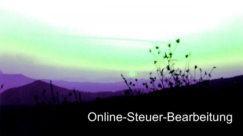 Online Steuer Bearbeitung 