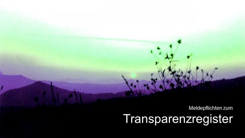 Meldepflichten zum Transparenzregister