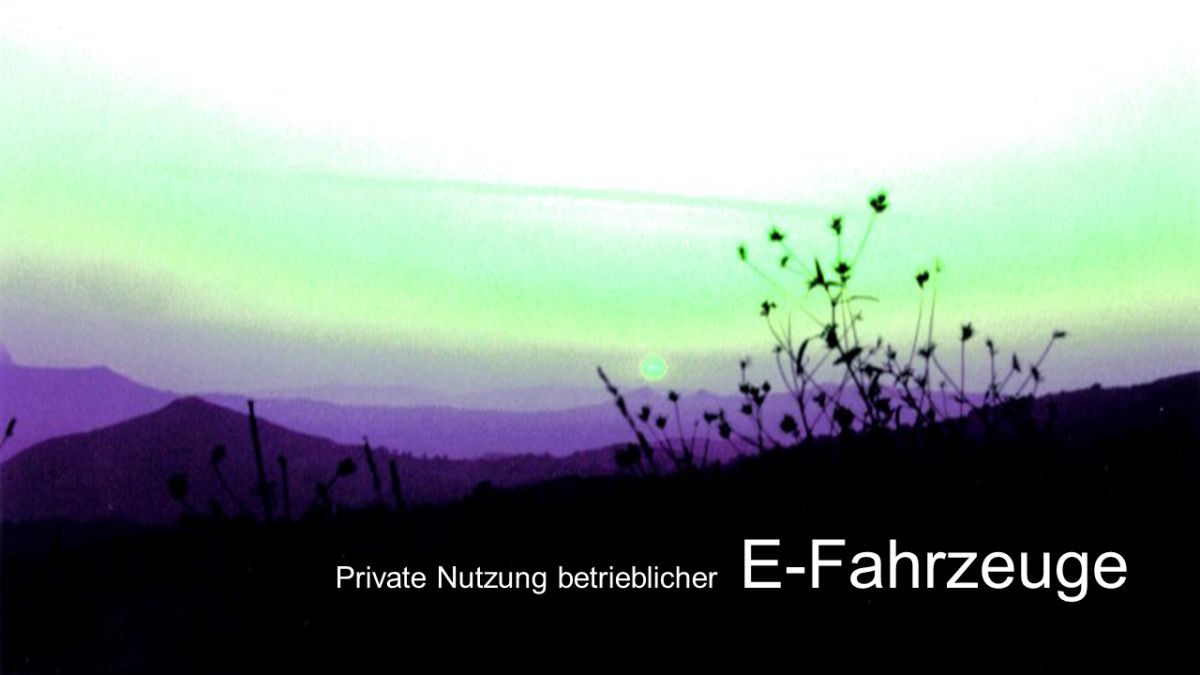privatnutzung e bike unternehmer buchen